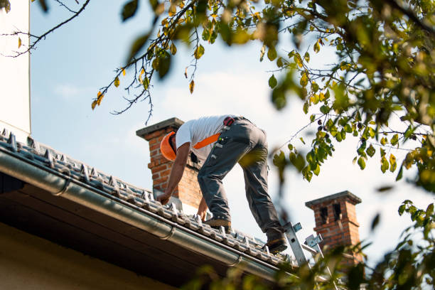 Best Roof Gutter Cleaning  in Highspire, PA