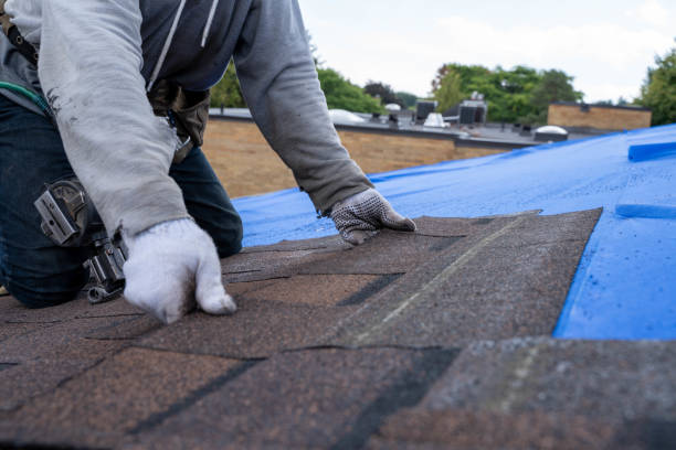 Best Storm Damage Roof Repair  in Highspire, PA